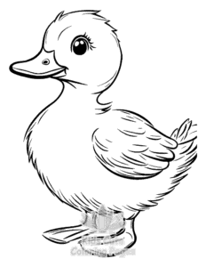 Free printable Duck coloring page for kids