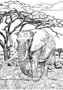 Free printable Elephant coloring page for kids