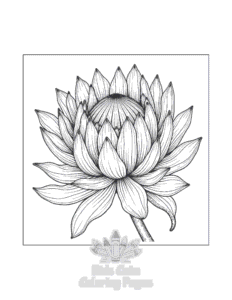 Printable Flowers coloring sheet for preschoolers