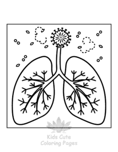 Free Human Body coloring pages to print at home