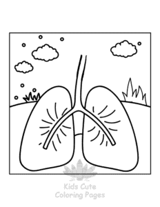 Human Body coloring page for boys, printable at home