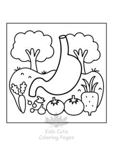 Printable Human Body coloring sheet for preschoolers