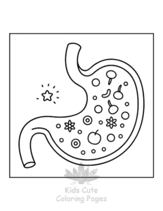 Human Body coloring page for boys, printable at home