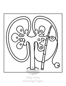 Human Body coloring page for boys, printable at home