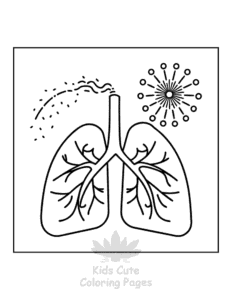Simple Human Body coloring page for toddlers