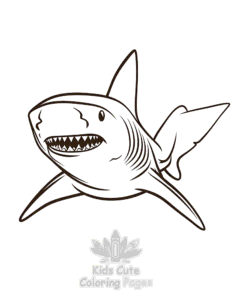 Shark coloring page for boys, printable at home