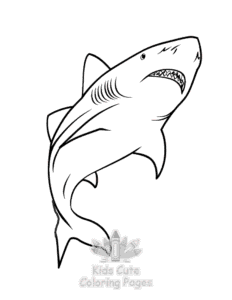 Printable Shark coloring sheet for preschoolers