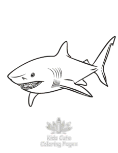 Free printable Shark coloring page for kids