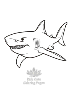 Simple Shark coloring page for toddlers