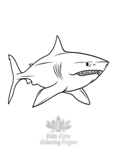 Printable Shark coloring sheet for preschoolers