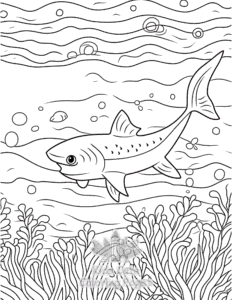 Simple Shark coloring page for toddlers