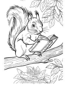Squirrel coloring page for girls, free to print