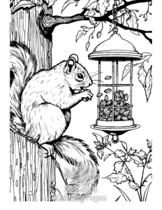 Free printable Squirrel coloring page for kids